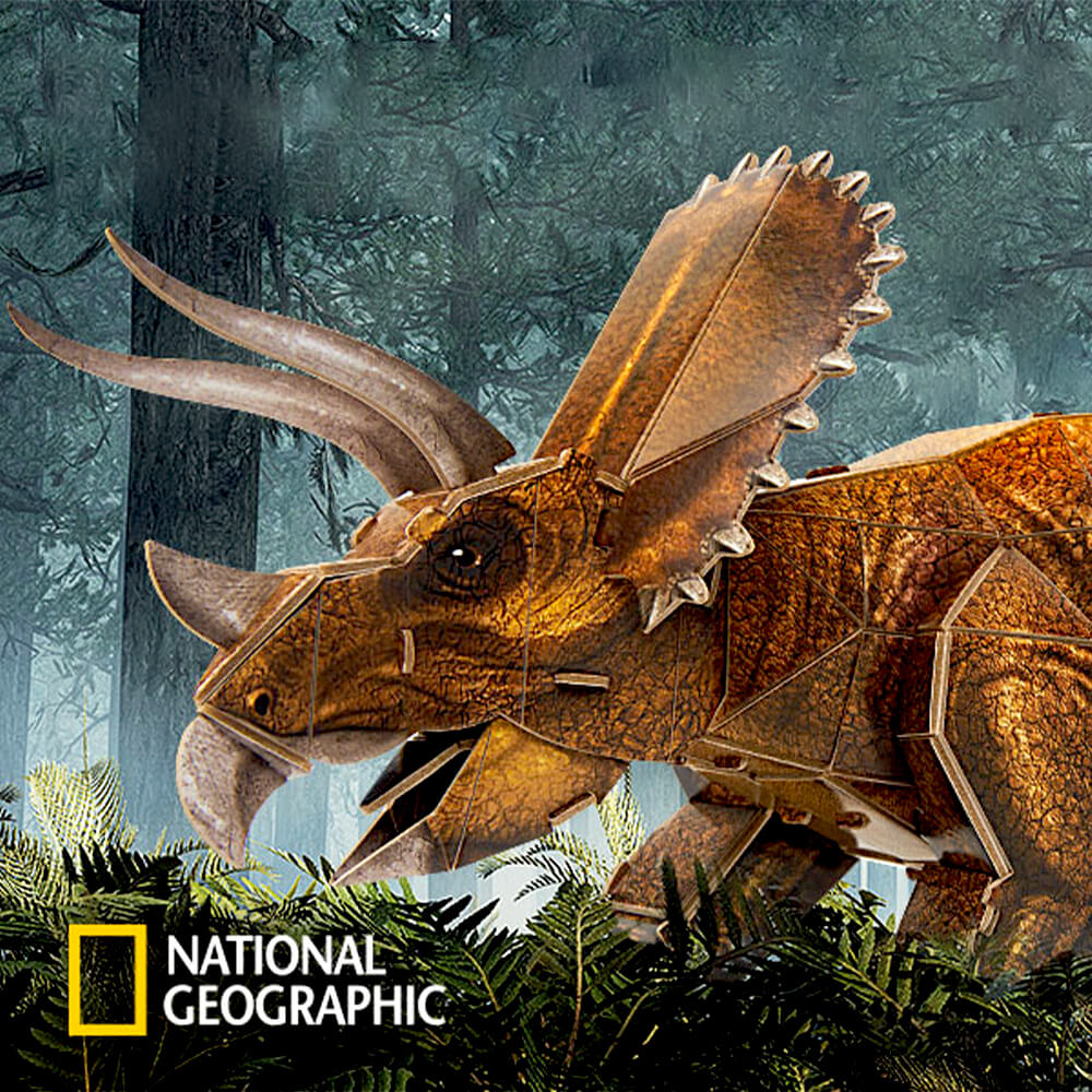 puzzle 3d dinosaure triceratops