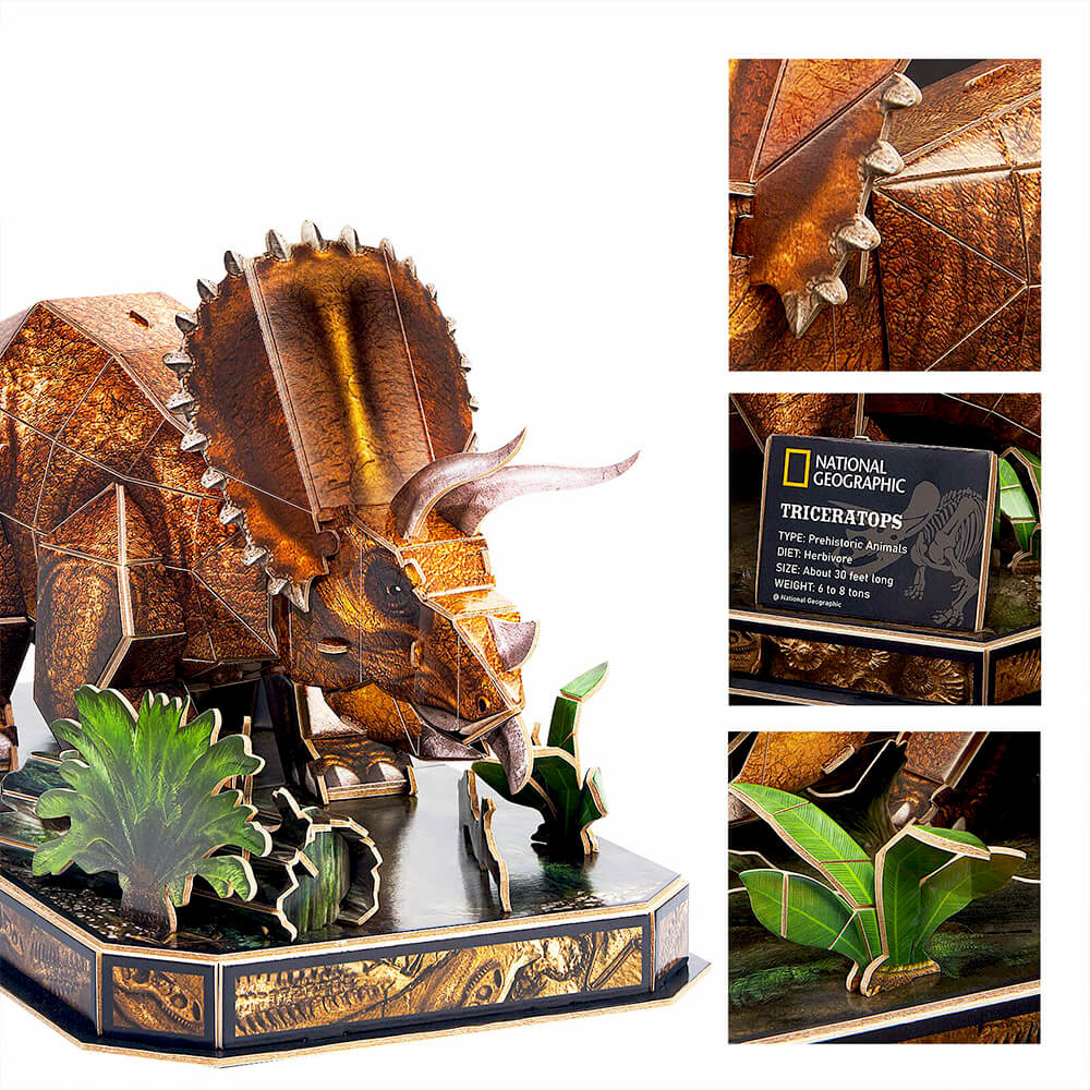 Puzzle 3D - Tricératops