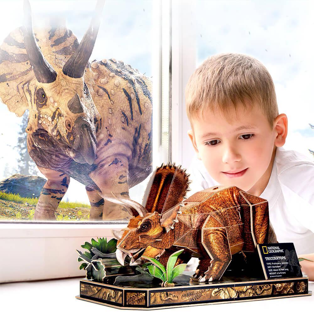 puzzle 3d dinosaure triceratops