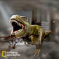 Puzzle 3D Tyrannosaure