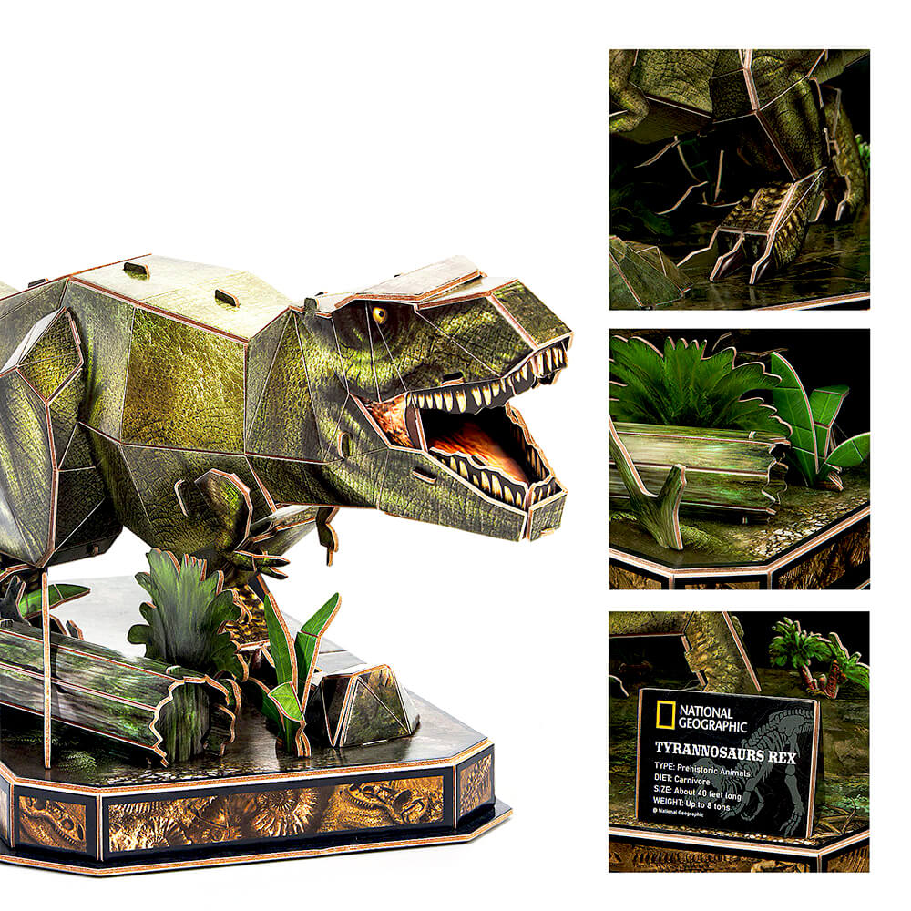 Puzzle 3D Dinosaure Tyrannosaure